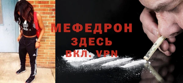 МДПВ Дмитриев
