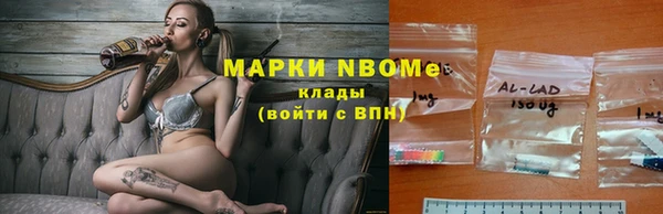 шишки Дмитров