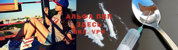 МДПВ Дмитриев