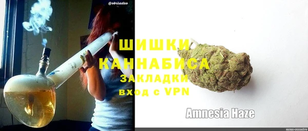 МДПВ Дмитриев