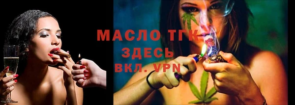 МДПВ Дмитриев