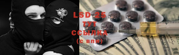 шишки Дмитров