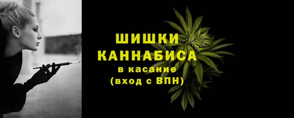 МДПВ Дмитриев