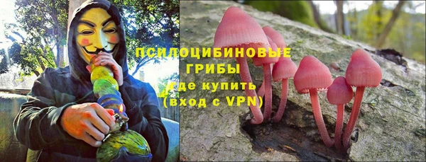 шишки Дмитров