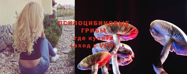 МДПВ Дмитриев