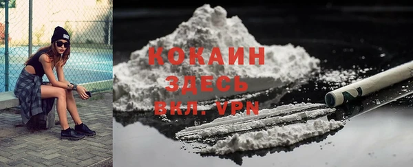 шишки Дмитров