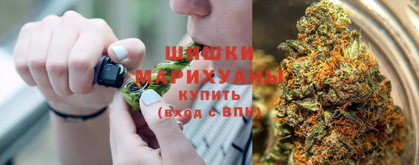 МДПВ Дмитриев