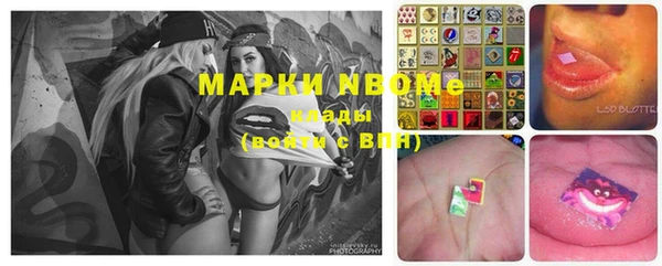 шишки Дмитров