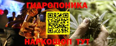 эйфоретик Кимры