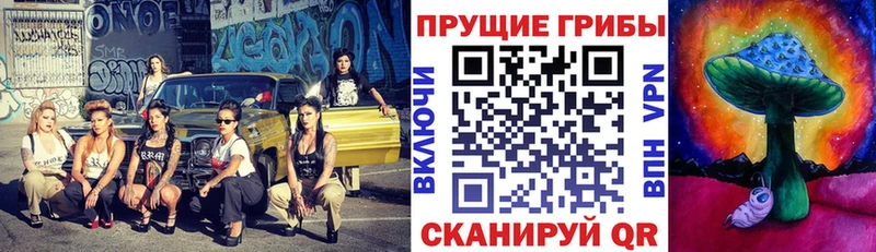 MEGA зеркало  Кудымкар  Галлюциногенные грибы MAGIC MUSHROOMS 