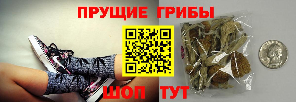 Псилоцибиновые грибы прущие грибы  Псилоцибиновые грибы прущие грибы  Вход с VPN  Кудымкар 
