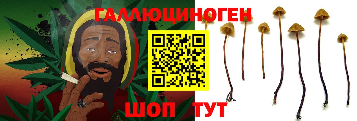 Псилоцибиновые грибы мицелий Кудымкар